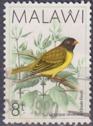 Stamp Thematic Birds