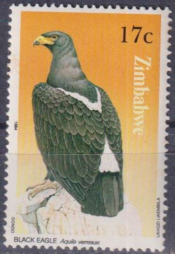 Stamp Thematic Birds