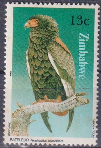 Stamp Thematic Birds