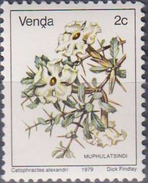 Stamp Thematic Flowers