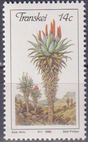 Stamp Thematic Flowers