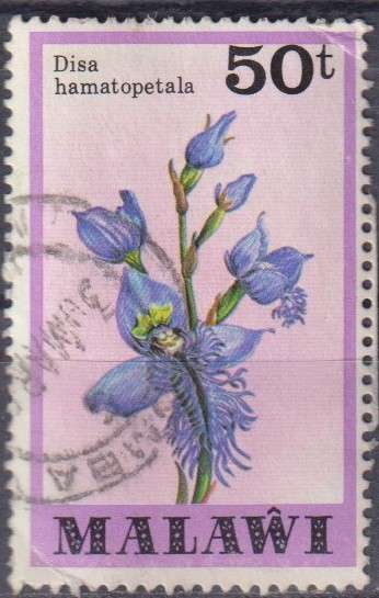Stamp Thematic Flowers