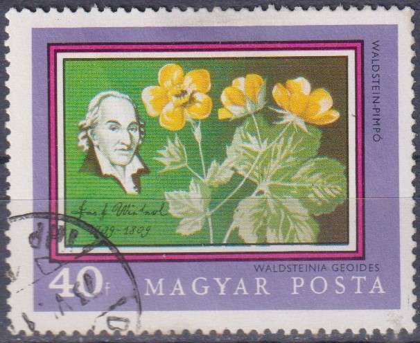 Stamp Thematic Flowers