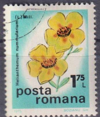 Stamp Thematic Flowers