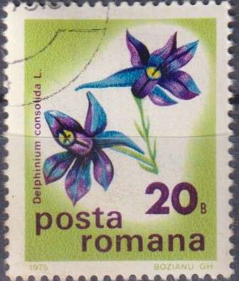 Stamp Thematic Flowers