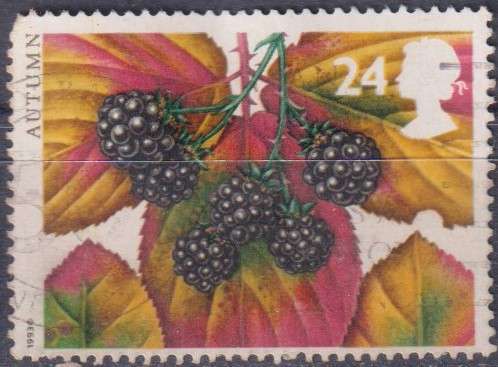 Stamp Thematic Flowers