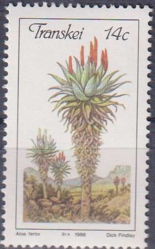 Stamp Thematic Flowers