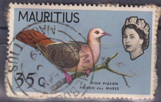 Stamp Thematic Birds