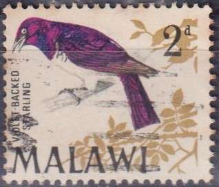 Stamp Thematic Birds