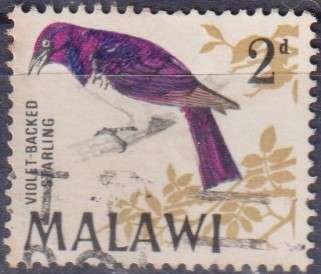 Stamp Thematic Birds