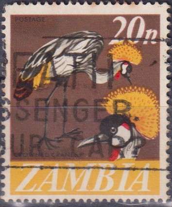 Stamp Thematic Birds