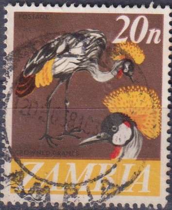 Stamp Thematic Birds