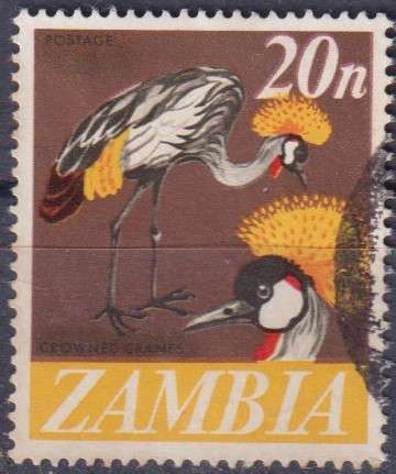 Stamp Thematic Birds