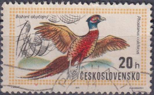 Stamp Thematic Birds