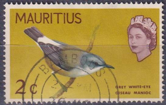 Stamp Thematic Birds