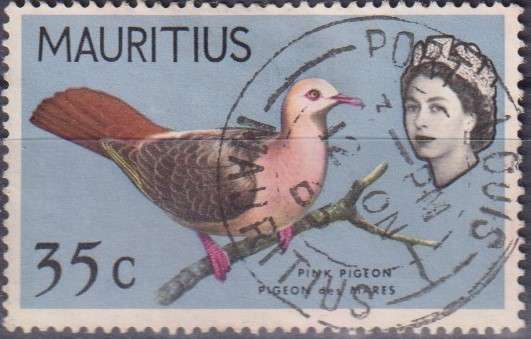 Stamp Thematic Birds