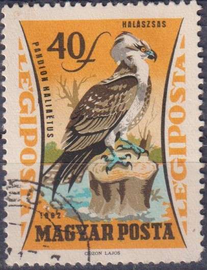 Stamp Thematic Birds