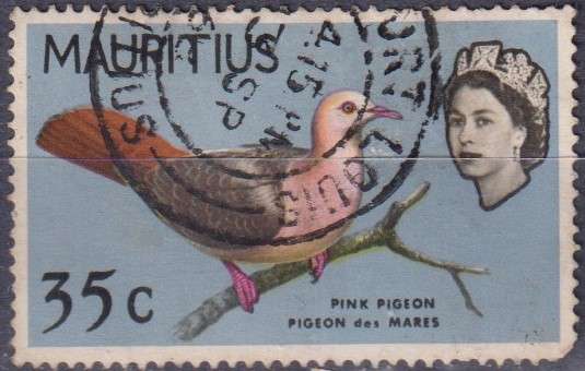 Stamp Thematic Birds
