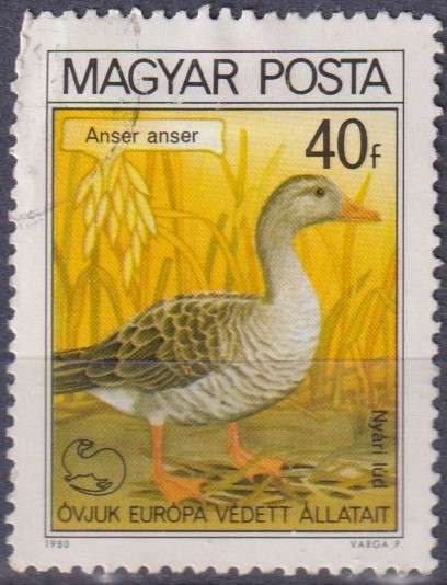 Stamp Thematic Birds