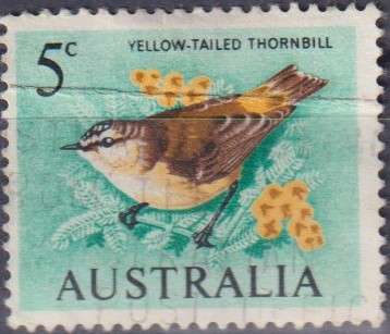 Stamp Thematic Birds