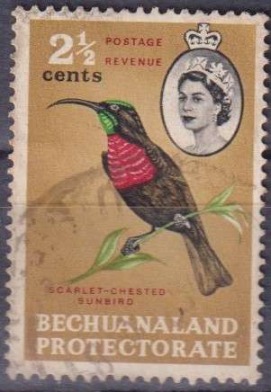 Stamp Thematic Birds