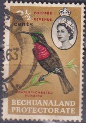 Stamp Thematic Birds