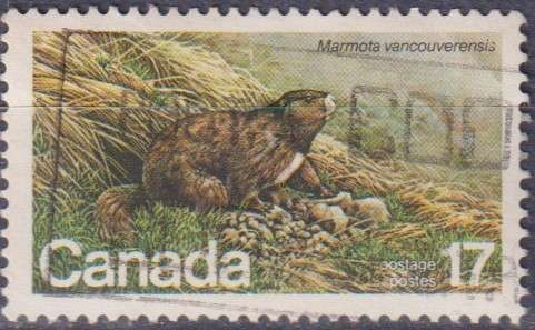 Stamp Thematic Animals ULM