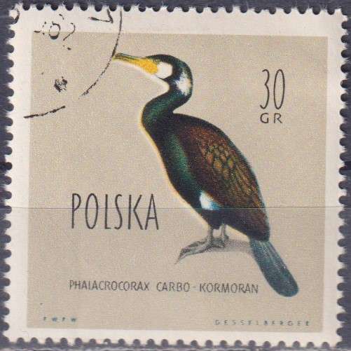 Stamps Thematic Birds Poland