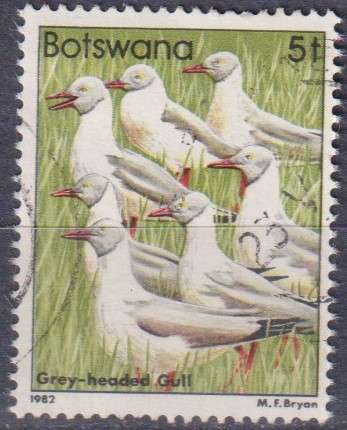 Stamps Botswana 1982 Birds