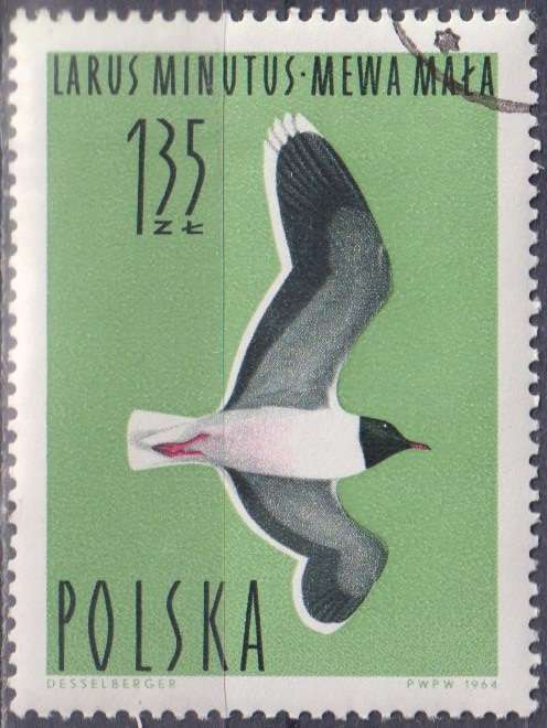Stamps Thematic Birds Poland