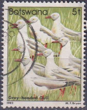 Stamps Botswana 1982 Birds