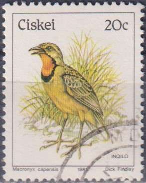 Stamps Thematic Birds Ciskei