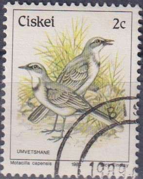 Stamps Thematic Birds Ciskei