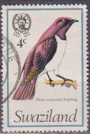 Stamps Thematic Birds Swaziland