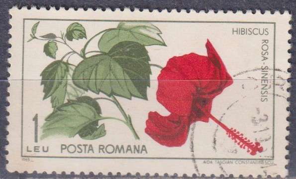 Stamp Thematic Flowers