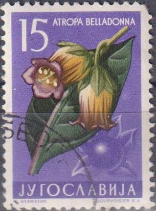 Stamp Thematic Flowers
