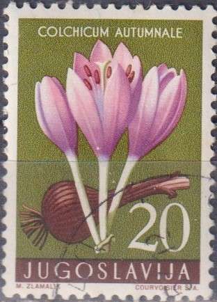 Stamp Thematic Flowers