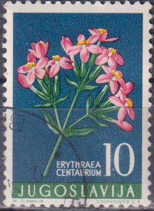 Stamp Thematic Flowers