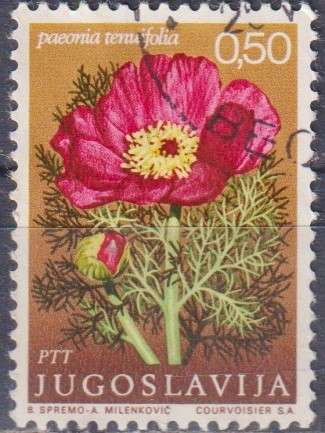 Stamp Thematic Flowers