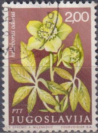 Stamp Thematic Flowers