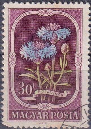Stamp Thematic Flowers