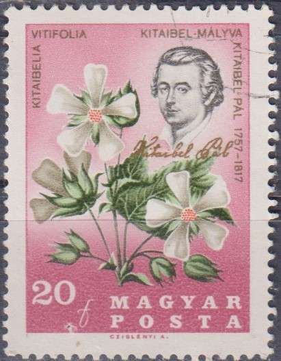 Stamp Thematic Flowers