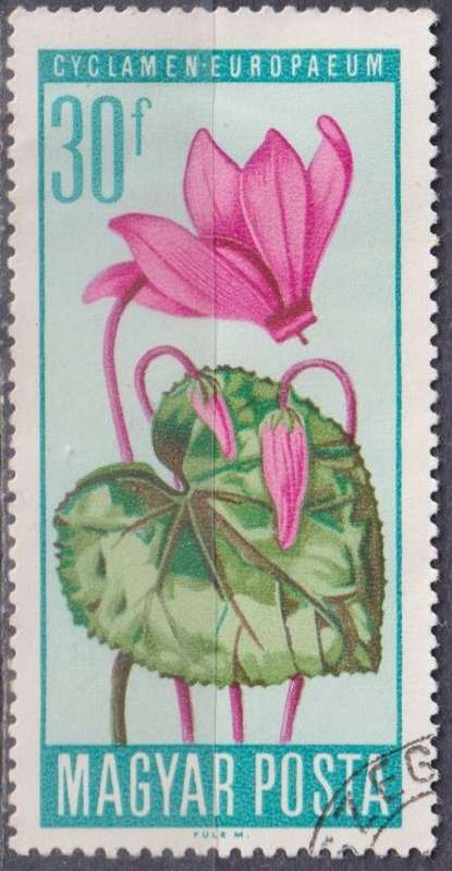 Stamp Thematic Flowers