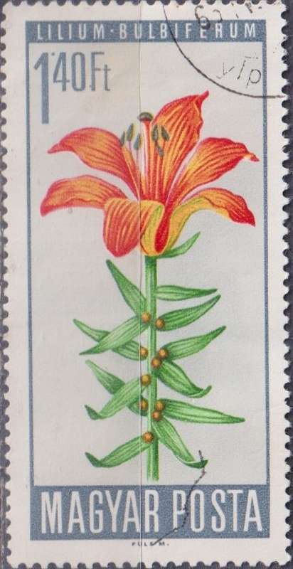 Stamp Thematic Flowers