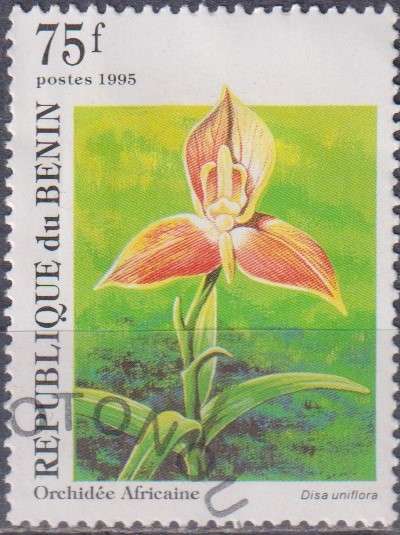 Stamp Thematic Flowers