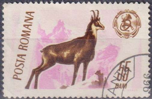 Stamp Thematic Animals