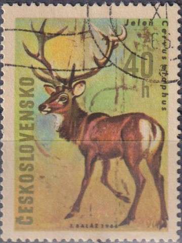 Stamp Thematic Animals