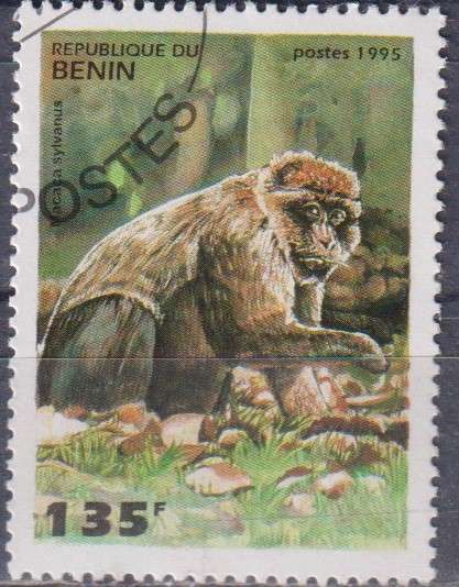 Stamp Thematic Animals