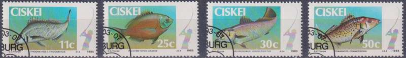 Stamps Ciskei 1985 Fish