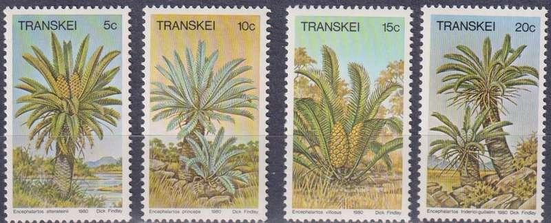 Stamps Transkei 1980 Palm Ferns